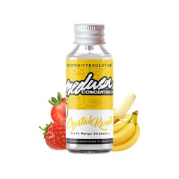 Medusa - Evolution -...