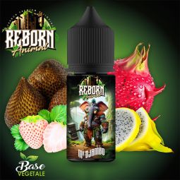 Reborn Animal - Mr DJambo