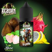 Reborn Animal - Echantillon X4 10ml