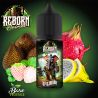 Reborn Animal - Mr DJambo