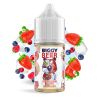 Biggy Bear - Fruits Rouges Givrés - Light Edition Concentrate 30ml