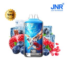 Falcon X JNR – Blueberry Pomegranate Ice Puff – 28,000 Puffs