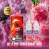 Falcon X JNR - Puff Fruit du Dragon - 28 000 bouffées