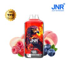 Falcon X JNR - Puff Pêche Fruit des bois - 28 000 bouffées