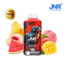 Falcon X JNR - Watermelon Mango Peach - 28 000 puffs