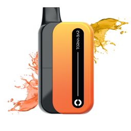 TORNA-BAR - Torna Box 1500mAh